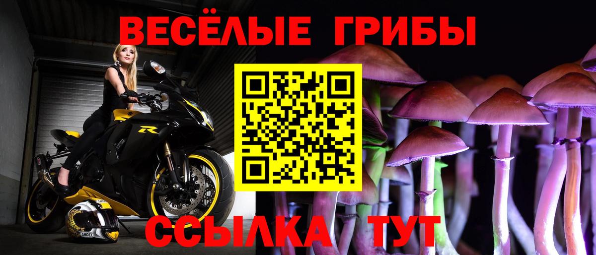Заводоуковск  Псилоцибиновые грибы прущие грибы  Галлюциногенные грибы мицелий  Вход с VPN 