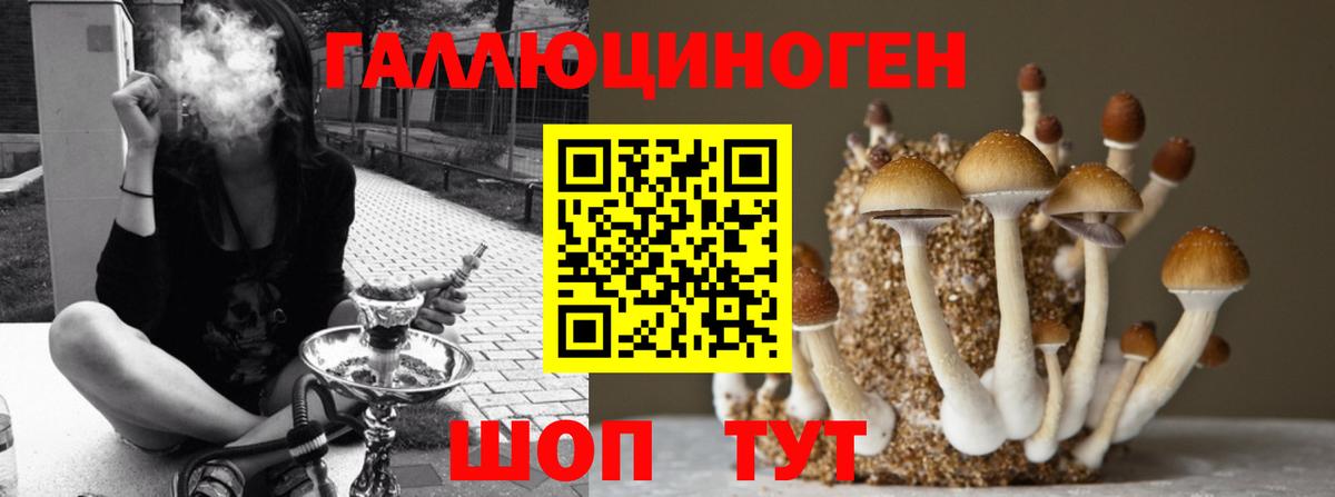 Псилоцибиновые грибы MAGIC MUSHROOMS Заводоуковск